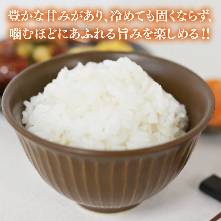 ★新米 令和7年★ 山﨑観光農園のお米　＼とちぎの星　白米27kg／｜栃木県 益子町 ふるさと納税 お米 大容量 米 白米 精米 約27kg（AU040）