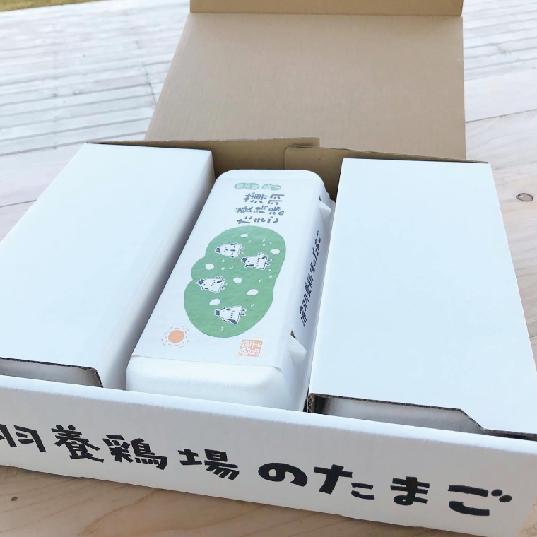 ＼2026年2月より順次配送／【定期便】黒麹育ちの赤たまご30個（年12回） 益子町 ふるさと納税 たまご 卵 タマゴ 赤たまご 人気 濃厚 食べチョク 定期便 (BC003) 12ヶ月定期便