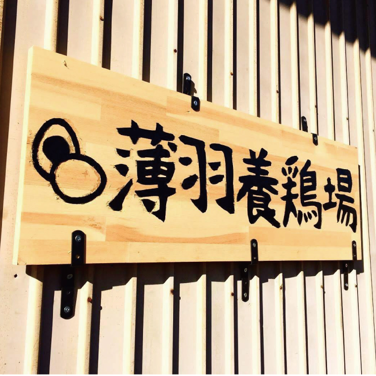 【先行予約】【2026年2月より順次発送】黒麹育ちの赤たまご30個 |栃木県 益子町 ふるさと納税 たまご 卵 タマゴ 赤たまご 人気 濃厚 食べチョク (BC007)