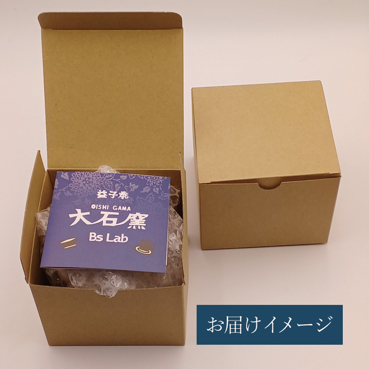 【益子焼】恐竜マグカップ（モデル：T-rex Bucky）食器 マグカップ コップ おしゃれ 恐竜 化石 T-rex レリーフ (BW004-3)