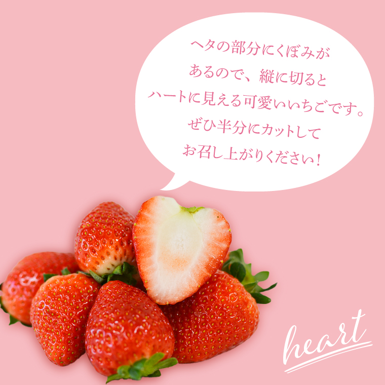 【合計20～40粒入り】いちご とちあいか 600g以上 (300g以上×2パック)｜栃木県 益子町 ふるさと納税 鈴木農園 L 2L 3L ご家庭用 家族用 食べやすい 一口サイズ 粒たっぷり 大満足 いちご イチゴ 苺 果物 フルーツ とちあいか 人気 600g以上 1パックあたり10～20粒入り （DJ003） L～3Lサイズ