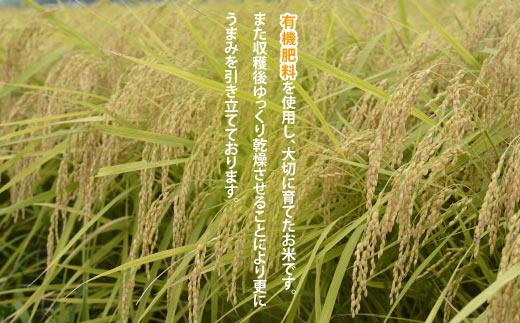 TVでも話題のお米 ゆうだい21 ＼令和7年産／【数量限定】あい　farm　やなぎのお米　令和7年産 ゆうだい21 白米 5kg | 栃木県 益子町 ふるさと納税 お米 米 5kg 白米 (DQ006)