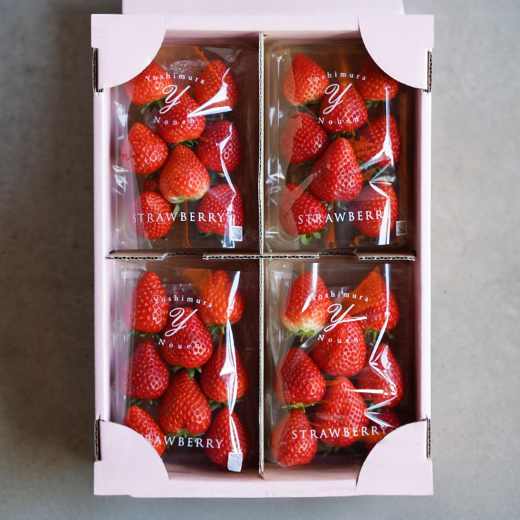 【2026年1月発送開始】【先行予約】ハート型のご褒美いちご とちあいか 合計1kg (250ｇ×4パック) | 栃木県 ふるさと納税 いちご イチゴ 苺 果物 フルーツ とちあいか 熟成 ご褒美 ハート型 こだわり (DS001)