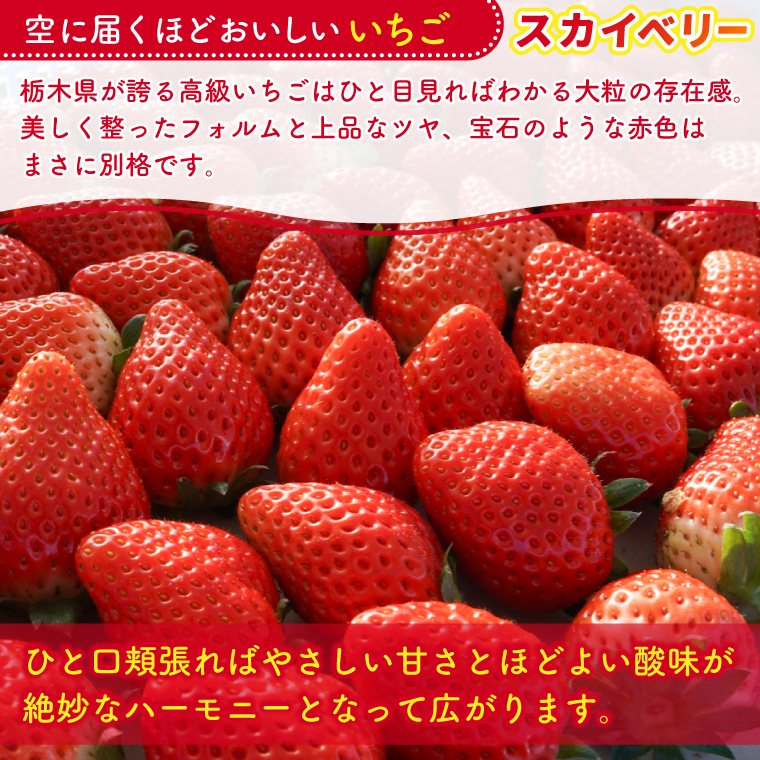 【2026年1月発送開始】合計1,000g 栃木県産 いちご食べ比べセット 甘くて可愛い「とちあいか」× 大粒高級「スカイベリー」 | 栃木県 イチゴ 苺 果物 フルーツ とちあいか ご褒美 ハート型 熟成 スカイベリー 大粒いちご セット 食べ比べ こだわり (DS003)