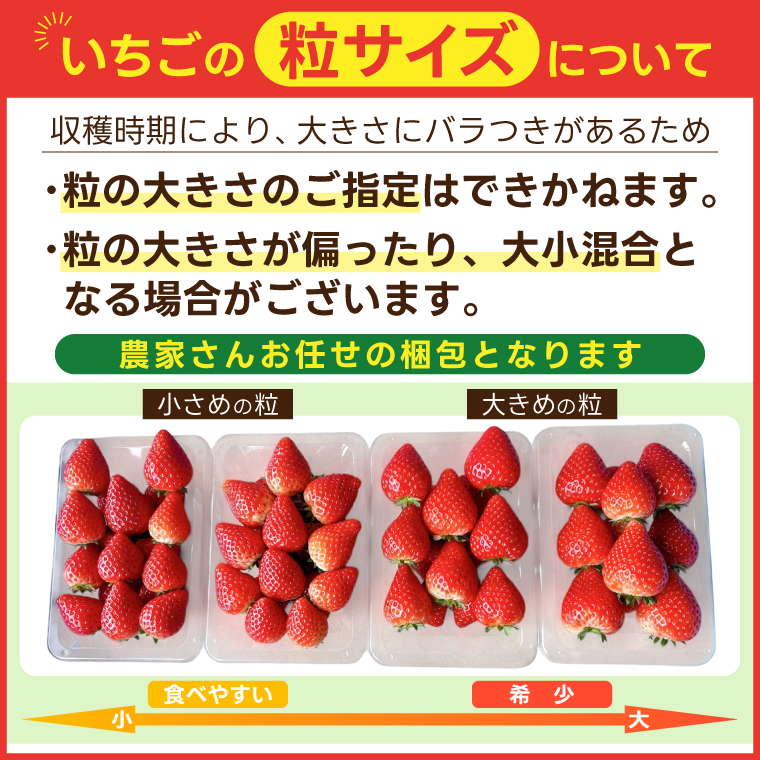 【順次発送】栃木県産 とちあいか 合計1,000g (250g以上×4パック) 農家直送 家庭用 和饗エコファーム【栃木県共通返礼品/高根沢町産】｜栃木県 ふるさと納税 いちご イチゴ 苺 果物 フルーツ とちあいか 熟成 (DW001)