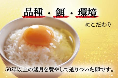 AQ011　【3ヶ月定期便】高橋ファームの丈夫卵30個入り