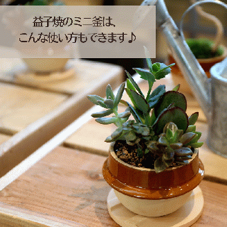 【のし対応可】道の駅ましこオリジナル　とろたまブリュレ6個セット（益子焼ミニ釜セット）（AA011）