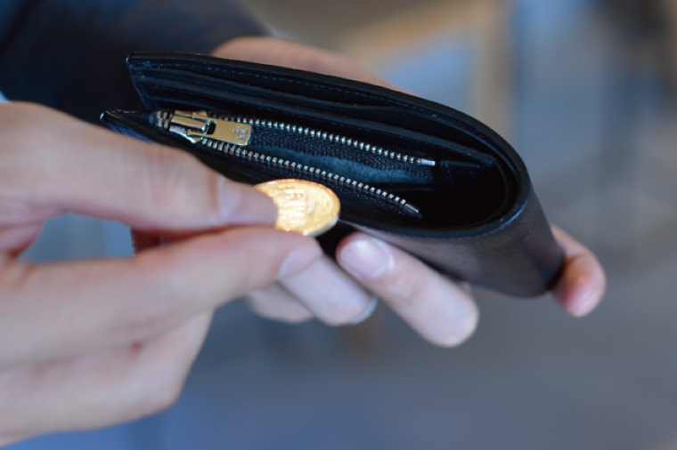 HalfWallet(クロコダイル)｜栃木県益子町ふるさと納税ハーフウォレット クロコダイルレザー ナイルワニ 革 日用品 栃木レザー（BB016）