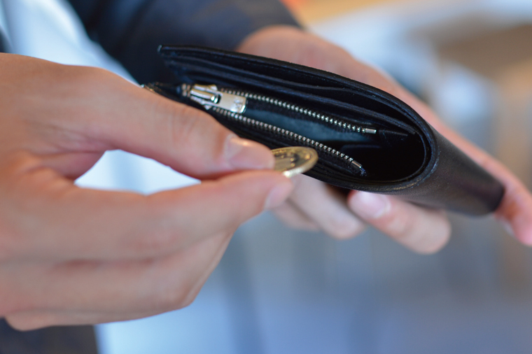 栃木レザーのHalfWallet｜栃木県 益子町 ふるさと納税 ヌメ革 革日用品（BB017）