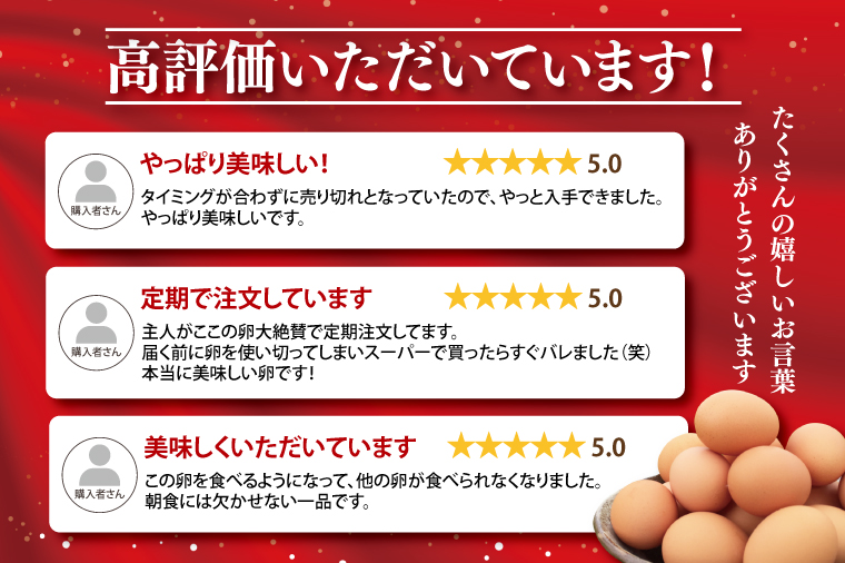 ＼2026年2月より順次配送／【定期便】黒麹育ちの赤たまご30個（年6回） 益子町 ふるさと納税 たまご 卵 タマゴ 赤たまご 人気 濃厚 食べチョク 定期便 (BC006) 6ヶ月定期便
