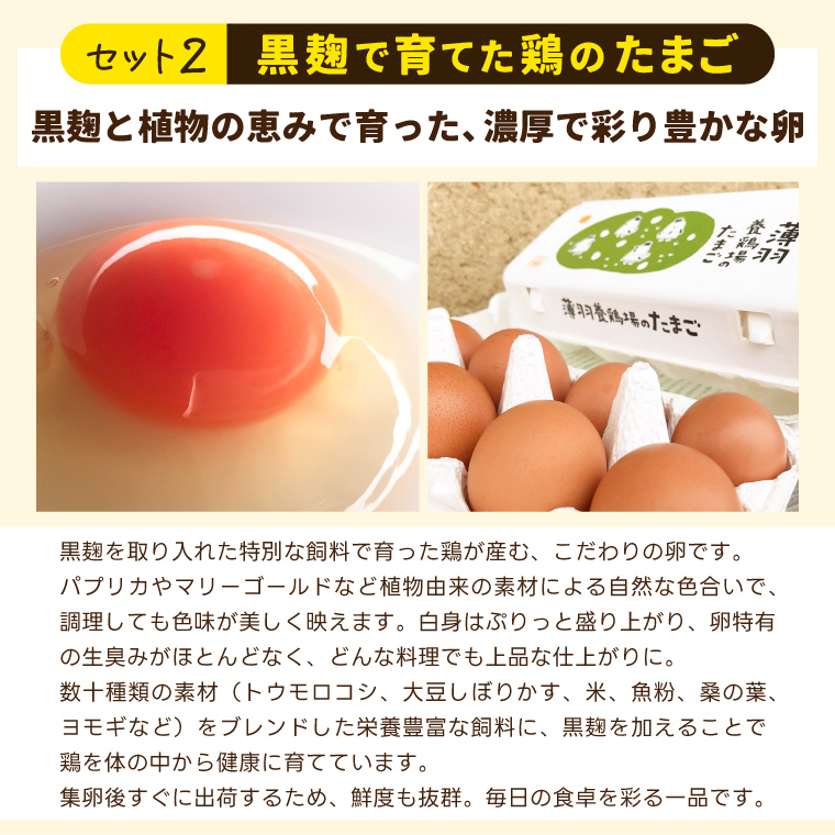 ＼薄羽養鶏場の濃厚たまごを使用／ たまごセット 濃厚たまご＆絶品加工品 6点セット｜栃木県 益子町 たまご 卵 タマゴ 平飼い 酵母平飼い 人気 濃厚 食べチョク カレー チキンカレー プリン とろたまぷりん フィナンシェ 焼き菓子 ディップソース (BC009)