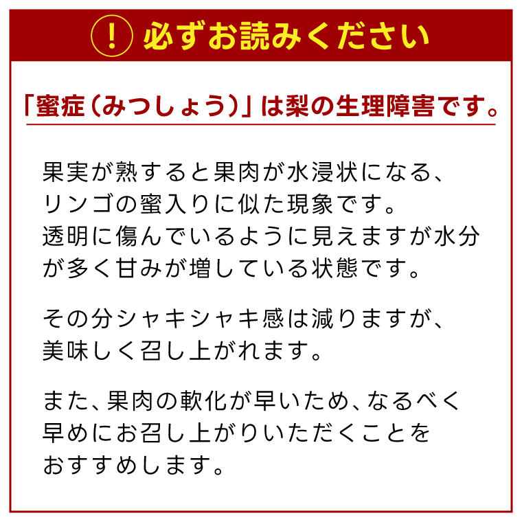 ★先行予約★ 【2026年9月発送】仁平果樹園の梨 「新高」5kg (8個～14個) (9月下旬より順次配送) | 果物 新鮮 フルーツ ギフト 梨 ナシ 益子町産梨 甘い あまい 糖度11.5以上 糖度保証 果汁 果肉 栃木県 益子町 (DB004)