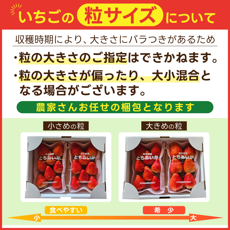 【合計20～40粒入り】いちご とちあいか 600g以上 (300g以上×2パック)｜栃木県 益子町 ふるさと納税 鈴木農園 L 2L 3L ご家庭用 家族用 食べやすい 一口サイズ 粒たっぷり 大満足 いちご イチゴ 苺 果物 フルーツ とちあいか 人気 600g以上 1パックあたり10～20粒入り （DJ003） L～3Lサイズ