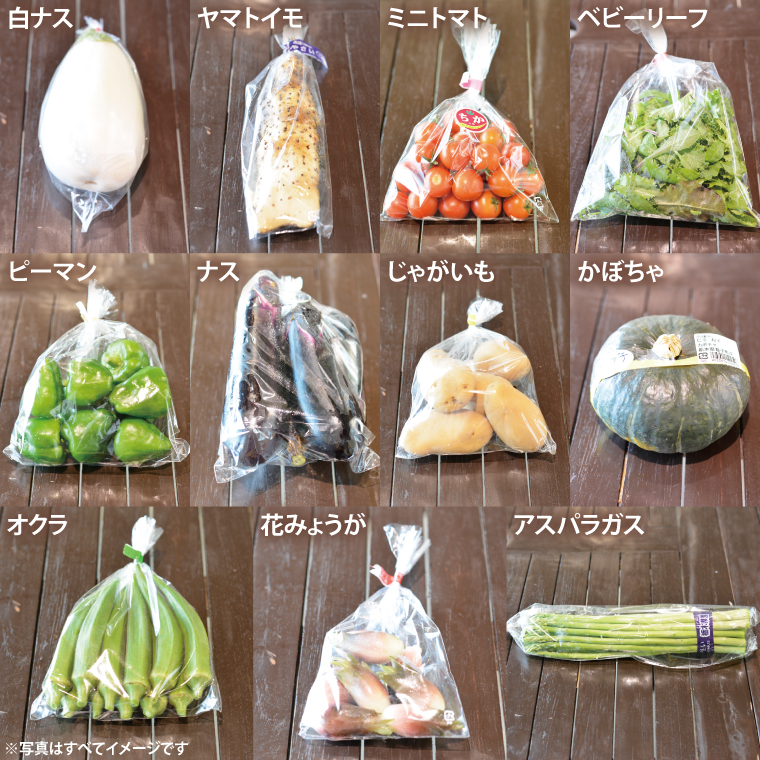 旬の採れたてぜいたく野菜セット（卵付き）2人用 益子町 ふるさと納税 やさい 野菜 セット 旬 野菜 採れたて(AA001)