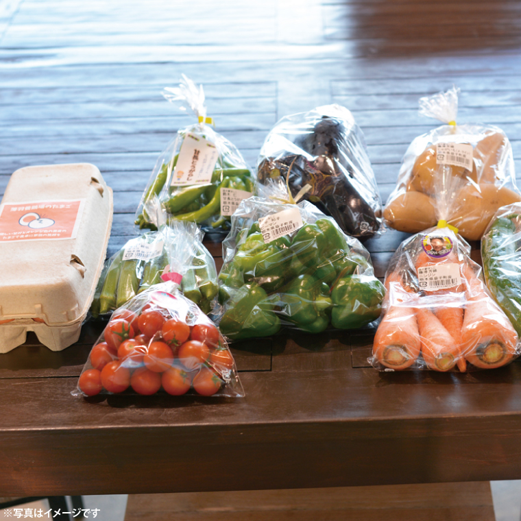 ＜6ヶ月定期便＞旬の採れたてぜいたく野菜セット（卵付き）2人用 益子町 ふるさと納税 野菜セット 野菜 やさい セット 採れたて 卵 たまご 定期便(AA034)