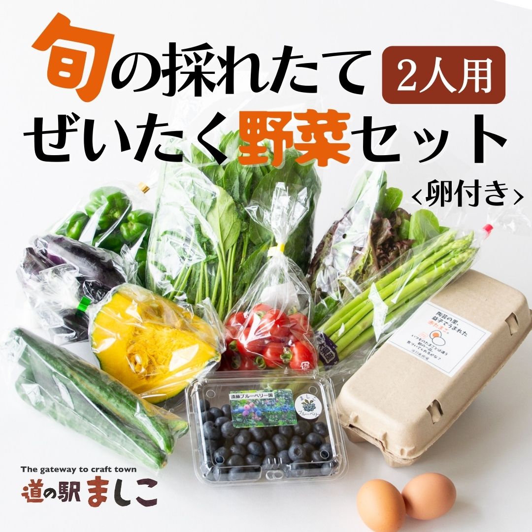 旬の採れたてぜいたく野菜セット（卵付き）2人用 益子町 ふるさと納税 やさい 野菜 セット 旬 野菜 採れたて(AA001)