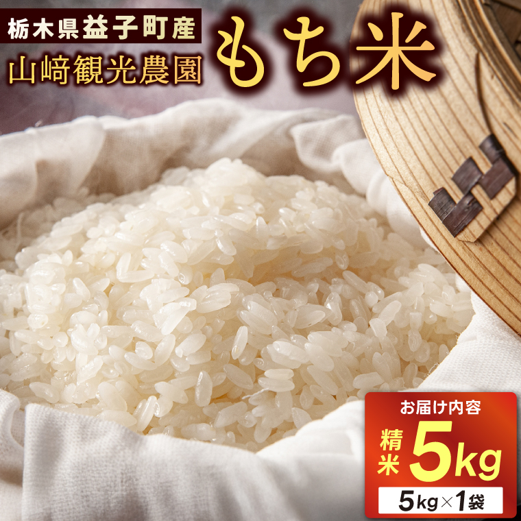 山﨑観光農園のもち米 5kg | 栃木県 益子町 ふるさと納税 お米 米 もち米 5kg 令和7年産 (AU008)