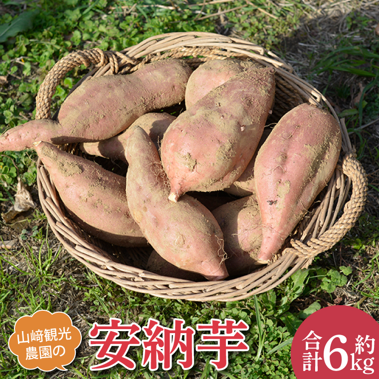 山﨑観光農園の安納芋 約6kg ｜栃木県 益子町 ふるさと納税 里山 熟成 さつまいも 安納芋 プレミアム 蜜芋 (AU013)