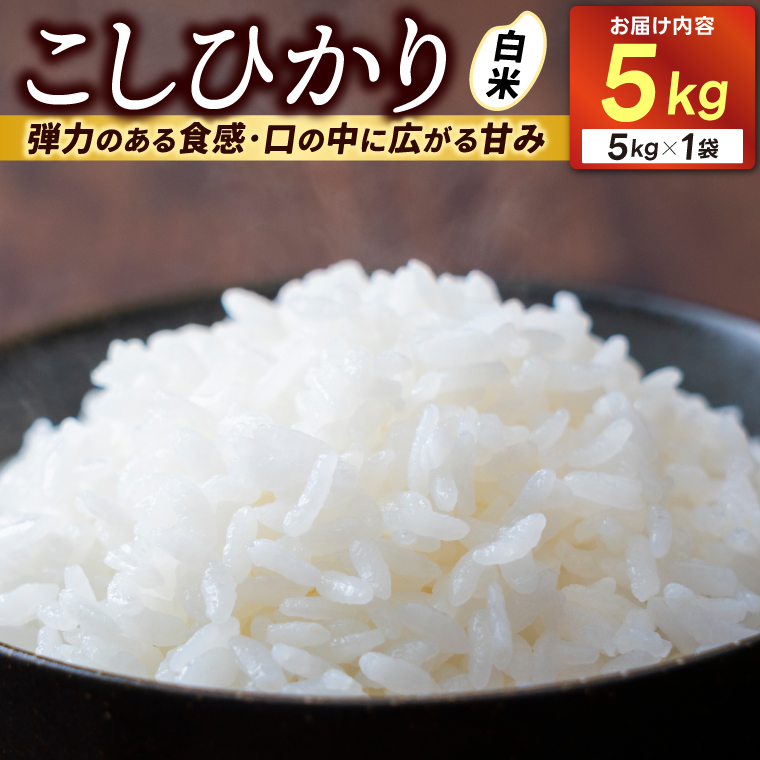 ＼新米 先行予約 11月より順次発送予定／★令和7年産★ 米 5kg 白米 精米 「コシヒカリ」山崎観光農園 栃木県 益子町 ふるさと納税 お米 こしひかり 白米 精米 5キロ 高評価 令和7年 先行予約 (AU014-11)