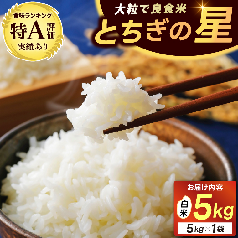 ★新米 令和7年★ 米 5kg 白米 「とちぎの星」  山﨑観光農園 栃木県 益子町 ふるさと納税 お米 とちぎの星 白米 精米 5キロ 令和7年産 (AU023)