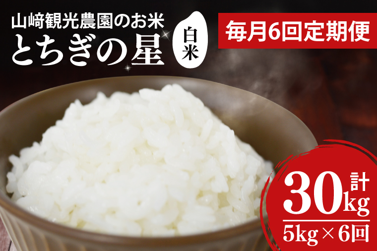 【全6回定期便】＜毎月＞ 山﨑観光農園のお米 とちぎの星 白米 5kg（合計 30kg）単一原料米 100% ｜栃木県 益子町 ふるさと納税 お米 米 白米 精米 5kg 6ヵ月 令和7年産 定期便（AU036）