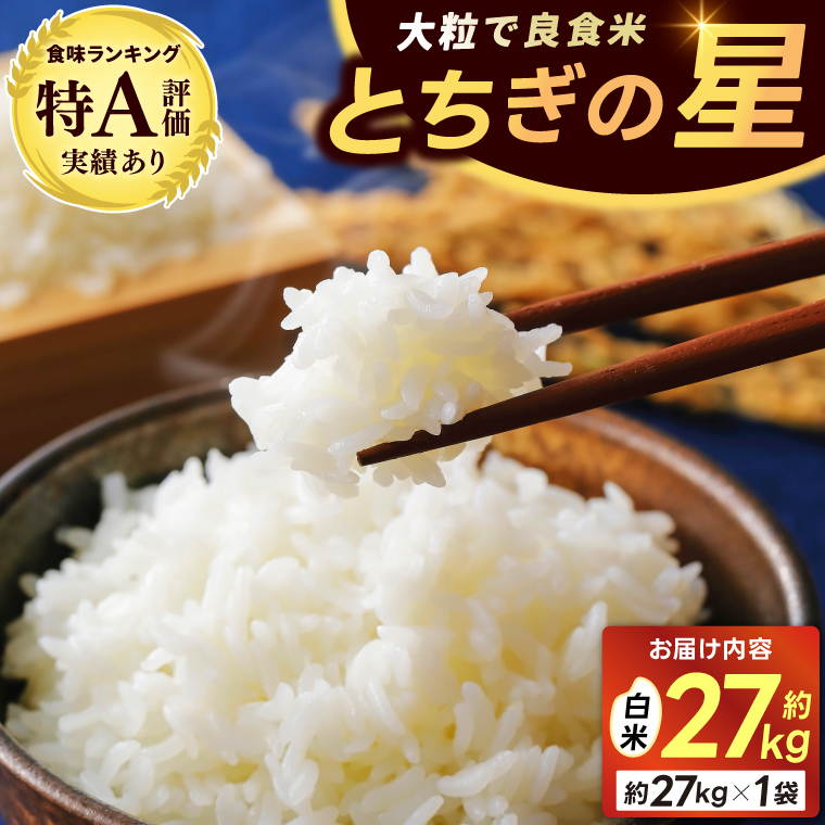 ★新米 令和7年★ 山﨑観光農園のお米　＼とちぎの星　白米27kg／｜栃木県 益子町 ふるさと納税 お米 大容量 米 白米 精米 約27kg（AU040）