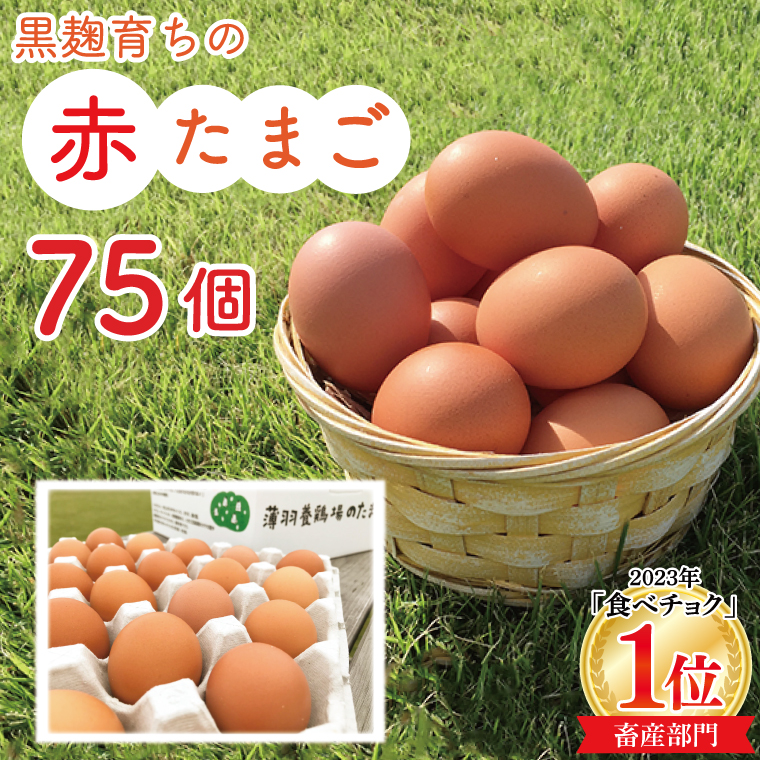 【先行予約】【2026年2月より順次発送】＼大容量／黒麹育ちの赤たまご75個 |栃木県 益子町 ふるさと納税 たまご 卵 タマゴ 赤たまご 人気 濃厚 食べチョク (BC008)