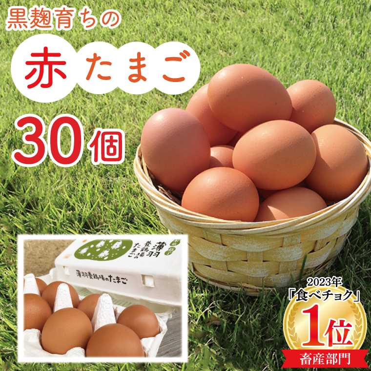 【先行予約】【2026年2月より順次発送】黒麹育ちの赤たまご30個 |栃木県 益子町 ふるさと納税 たまご 卵 タマゴ 赤たまご 人気 濃厚 食べチョク (BC007)