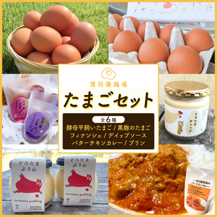 ＼薄羽養鶏場の濃厚たまごを使用／ たまごセット 濃厚たまご＆絶品加工品 6点セット｜栃木県 益子町 たまご 卵 タマゴ 平飼い 酵母平飼い 人気 濃厚 食べチョク カレー チキンカレー プリン とろたまぷりん フィナンシェ 焼き菓子 ディップソース (BC009)