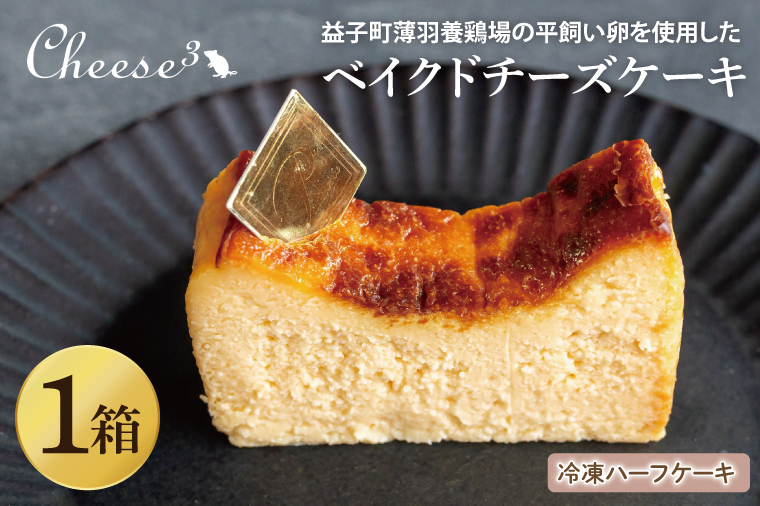 ベイクドチーズケーキ　冷凍ハーフケーキ｜栃木県 益子町 ふるさと納税 チーズケーキ ベイクドチーズケーキ ケーキ 冷凍ケーキ（CP004）