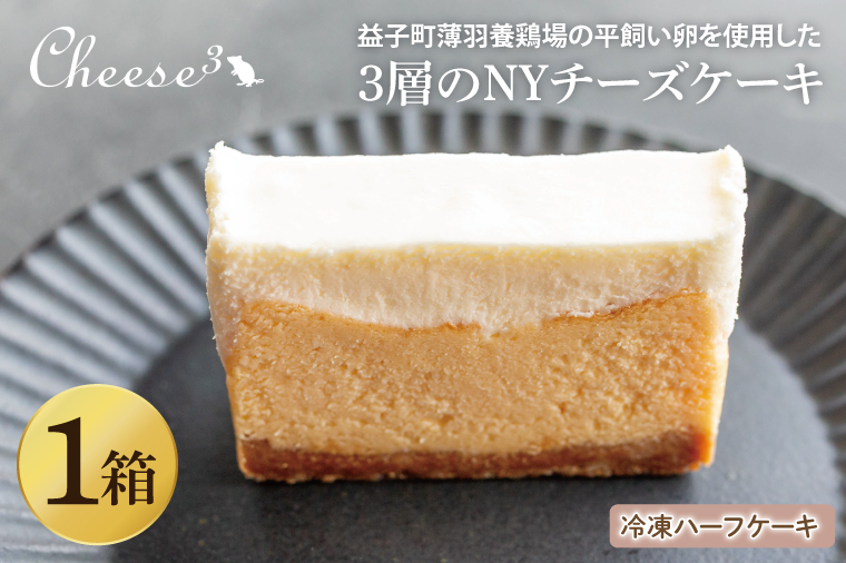 3層のNYチーズケーキ　冷凍ハーフケーキ｜栃木県 益子町 ふるさと納税 チーズケーキ NYチーズケーキ ケーキ 冷凍ケーキ（CP005）