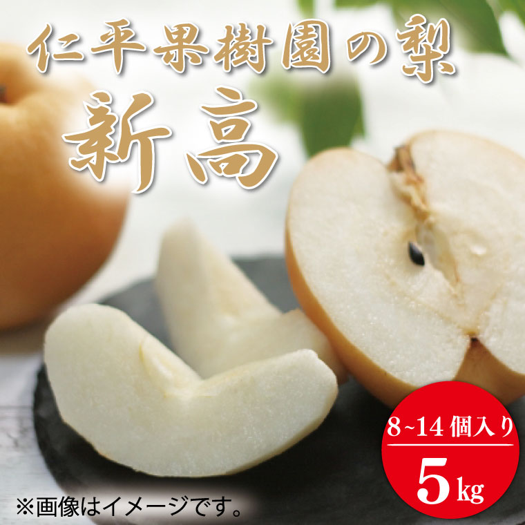 ★先行予約★ 【2026年9月発送】仁平果樹園の梨 「新高」5kg (8個～14個) (9月下旬より順次配送) | 果物 新鮮 フルーツ ギフト 梨 ナシ 益子町産梨 甘い あまい 糖度11.5以上 糖度保証 果汁 果肉 栃木県 益子町 (DB004)