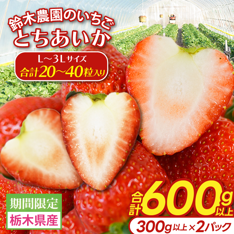 【合計20～40粒入り】いちご とちあいか 600g以上 (300g以上×2パック)｜栃木県 益子町 ふるさと納税 鈴木農園 L 2L 3L ご家庭用 家族用 食べやすい 一口サイズ 粒たっぷり 大満足 いちご イチゴ 苺 果物 フルーツ とちあいか 人気 600g以上 1パックあたり10～20粒入り （DJ003） L～3Lサイズ