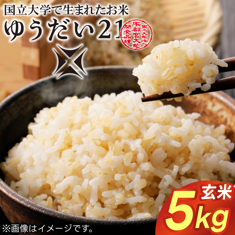 TVでも話題のお米 ゆうだい21 ＼令和7年産／【数量限定】あい　farm　やなぎのお米　令和7年産 ゆうだい21 玄米 5kg | 栃木県 益子町 ふるさと納税 お米 米 5kg 玄米 (DQ008)