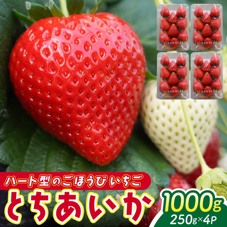 【2026年1月発送開始】【先行予約】ハート型のご褒美いちご とちあいか 合計1kg (250ｇ×4パック) | 栃木県 ふるさと納税 いちご イチゴ 苺 果物 フルーツ とちあいか 熟成 ご褒美 ハート型 こだわり (DS001)