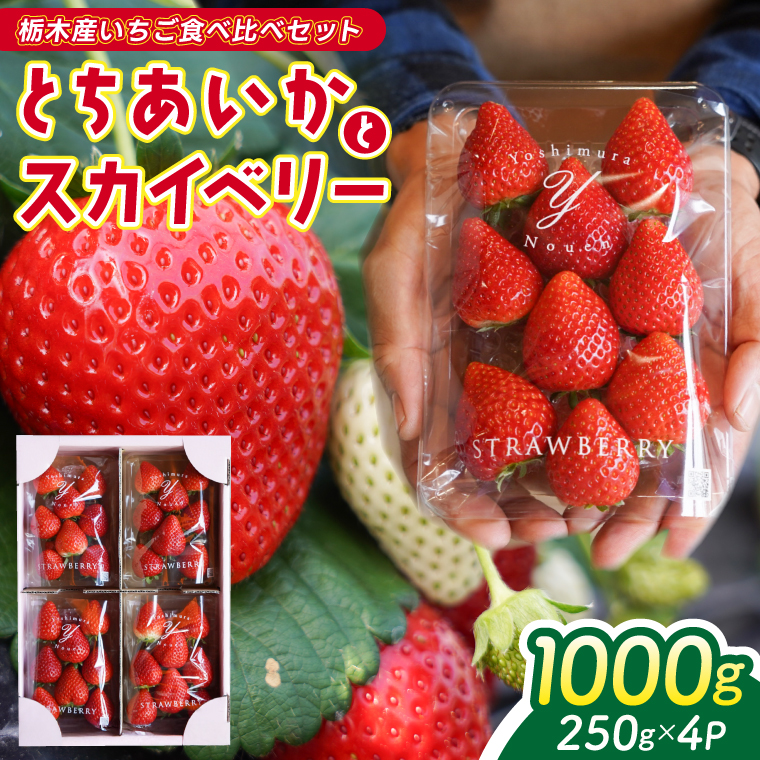 【2026年1月発送開始】合計1,000g 栃木県産 いちご食べ比べセット 甘くて可愛い「とちあいか」× 大粒高級「スカイベリー」 | 栃木県 イチゴ 苺 果物 フルーツ とちあいか ご褒美 ハート型 熟成 スカイベリー 大粒いちご セット 食べ比べ こだわり (DS003)