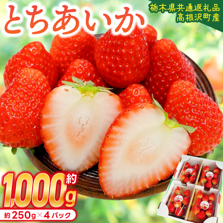 【順次発送】栃木県産 とちあいか 合計1,000g (250g以上×4パック) 農家直送 家庭用 和饗エコファーム【栃木県共通返礼品/高根沢町産】｜栃木県 ふるさと納税 いちご イチゴ 苺 果物 フルーツ とちあいか 熟成 (DW001)
