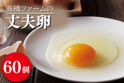 AQ004　高橋ファームの丈夫卵 60個入り