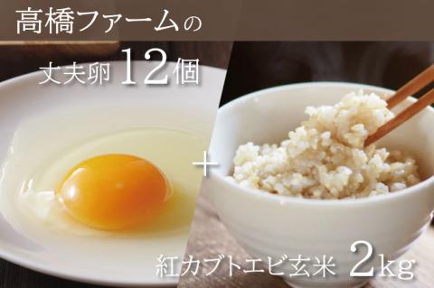 AQ005　高橋ファームの丈夫卵12個+紅カブトエビ玄米2kg