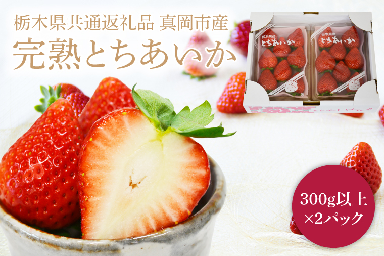 【2026年1月発送開始】【先行予約】【数量限定】完熟とちあいか　約600g【栃木県共通返礼品/真岡市産】｜栃木県 ふるさと納税 いちご イチゴ 苺 果物 フルーツ とちあいか 熟成（DM001）
