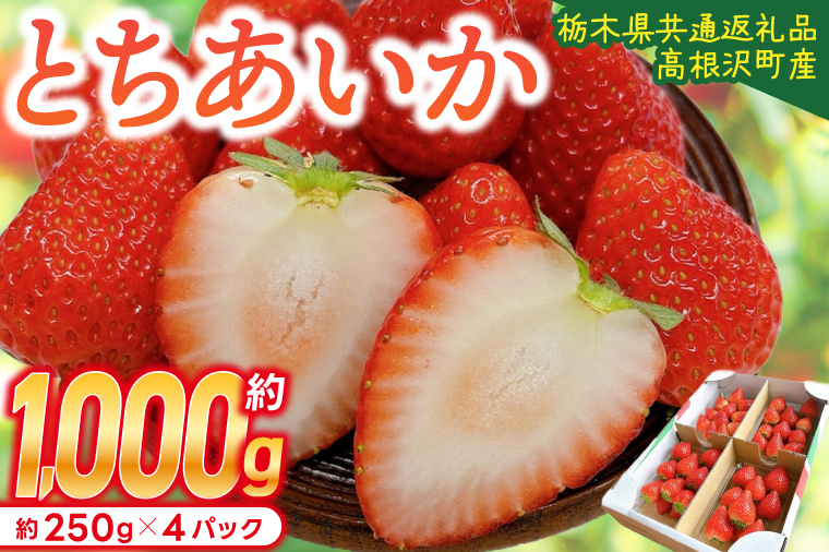 【順次発送】栃木県産 とちあいか 合計1,000g (250g以上×4パック) 農家直送 家庭用 和饗エコファーム【栃木県共通返礼品/高根沢町産】｜栃木県 ふるさと納税 いちご イチゴ 苺 果物 フルーツ とちあいか 熟成 (DW001)