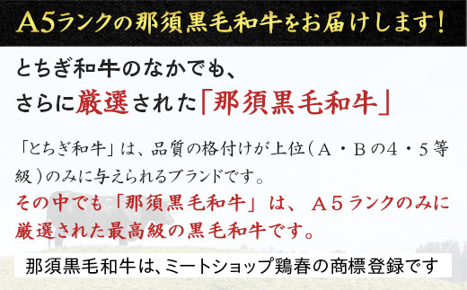 【冷蔵】那須黒毛和牛ステーキ用A5 〔E-3〕| 牛肉 国産 赤身 那須和牛 黒毛和牛 那須黒毛和牛 とちぎ和牛 栃木和牛 ブランド牛 A5 すき焼き しゃぶしゃぶ 焼肉 ステーキ 夜ご飯 夜ごはん 晩ご飯 晩ごはん お取り寄せグルメ お中元 御中元 お歳暮 贈答 贈り物 ギフト プレゼント 母の日 父の日 敬老の日 記念日 誕生日 お祝い 定期便 栃木県 那須町