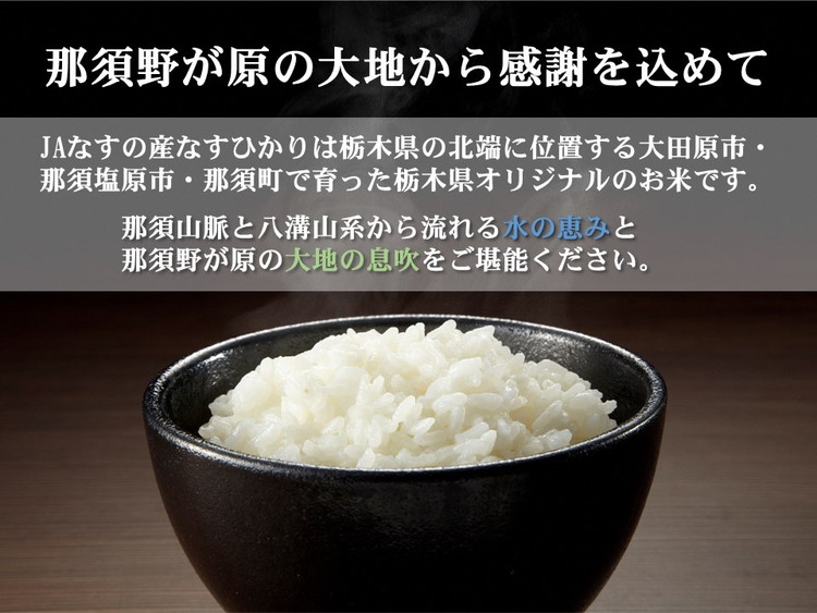 令和7年産 栃木県産 なすひかり 5kg JAなすの産地直送【大田原市・那須塩原市・那須町共通返礼品】〔P-85〕 ｜ 米 コメ こめ 白米 精米 新米 ※離島への配送不可