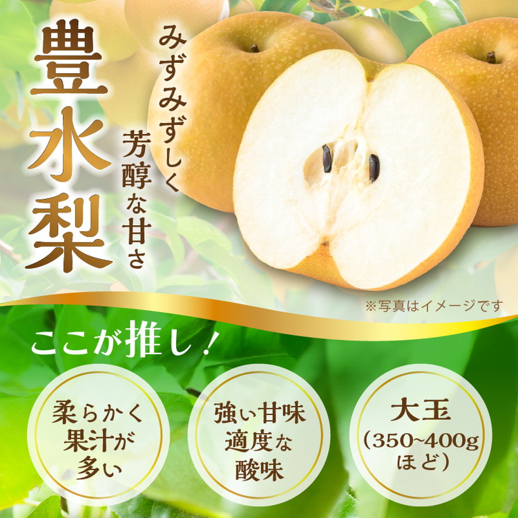 【栃木県共通返礼品】 JAなすの産 梨 豊水 5kg〔P-390〕※北海道・沖縄・離島への配送不可 ※2025年9月上旬～9月下旬頃に順次発送予定