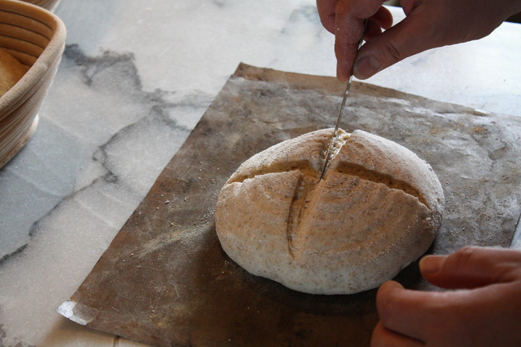 天然酵母パンセット ｜ パン スコーン ベーグル マフィン 天然酵母 乳製品不使用 卵不使用 那須町 栃木県 〔P-349〕