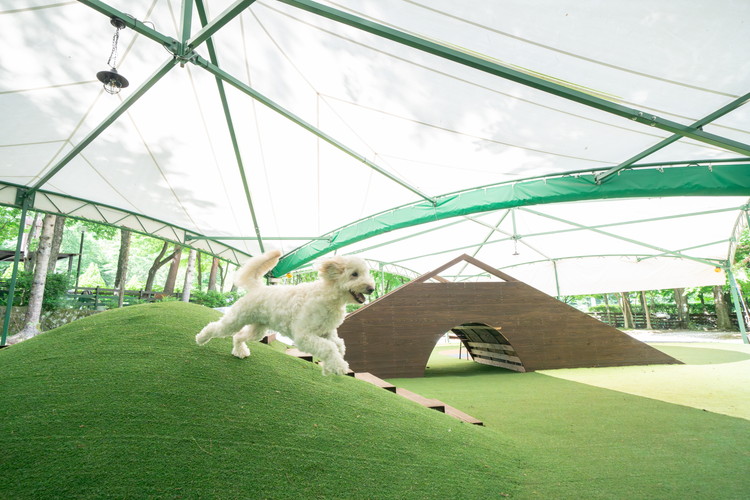 ホテル フォレストヒルズ那須 3,000円利用券 ｜ チケット 旅行 旅行券 利用券 観光 ペット 那須 栃木県 那須町〔B-132〕