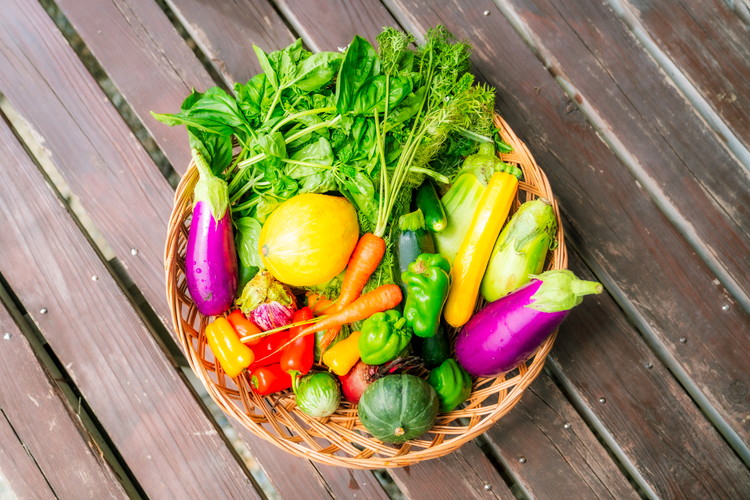 ＼食と元気を結ぶお手伝い／農村レストラン 飛火鞍 収穫体験＆地元シェフによるランチのお食事のペアチケット 〔P-435〕 | 野菜 やさい 収穫体験 ランチ 発酵食 体験 お食事券 農業体験 那須町 栃木県