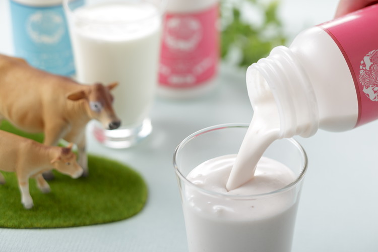 那須高原りんどう湖ファミリー牧場 ジャージードリンク 6本セット｜ジャージー牛 乳製品 牛乳 詰め合わせ 濃厚 詰め合わせ ギフト スイーツ 那須 栃木県 那須町〔P-226〕