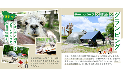 【泊まれる牧場】那須高原りんどう湖ファミリー牧場 日本初・アルパカと泊まれる グランピング 50,000円分利用券｜宿泊 旅行 レジャー アウトドア BBQ 国内 那須 栃木県 那須町〔P-227〕