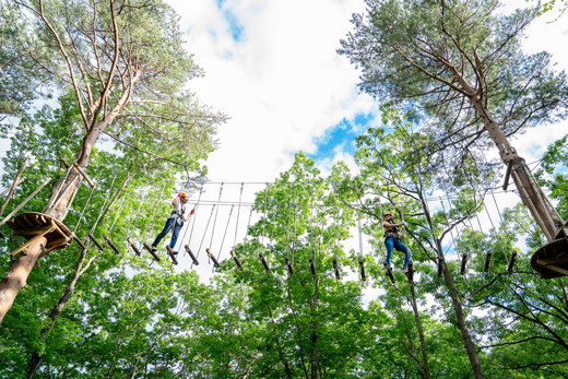 NOZARU KOZARU キツネノボリ 施設利用券3,000円分（3,000円×1枚）｜体験 アスレチック アクティビティ 遊び 観光 旅行 子供 チケット 那須 栃木県 那須町〔B-112〕